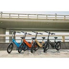 GoPowerBike GoPlus Folding Adult Electric Bike