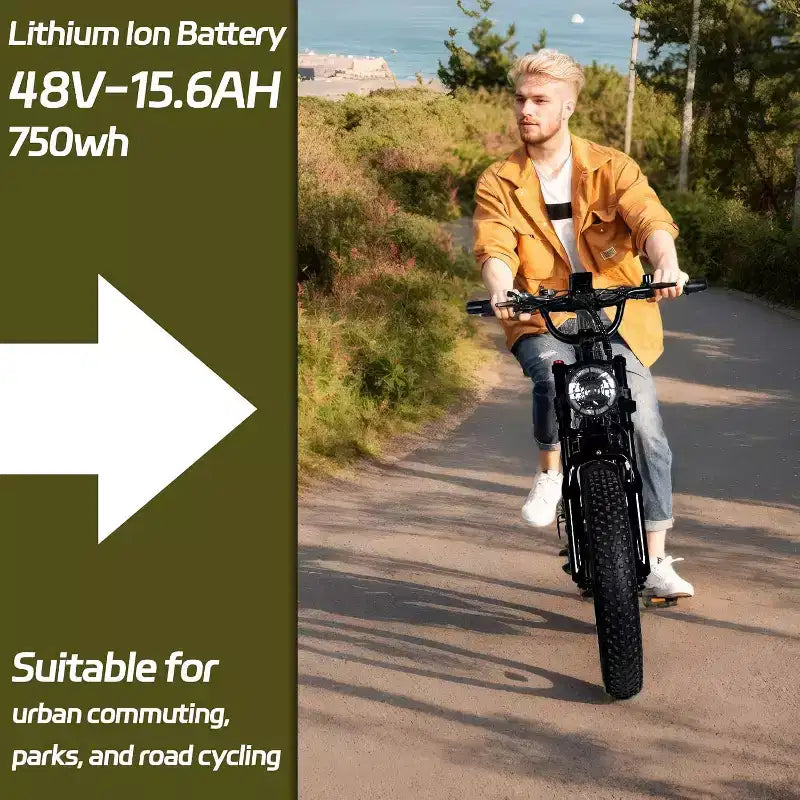 Electric Mountain Bike for Adults, 20 x 4.0 Fat Tire, 750W Motor with 48V 15.6Ah Removable Battery