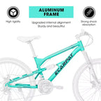 Whisen 26 Inch Steel Frame Shock Fork Plus Shock Absorber 21-speed Unisex Mountain Bike