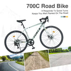 Okak 700C Road Bike with 7 Speed System, Adult Bike with Aluminum Alloy Frame and Rim, Disk Brake Bicycle for Men and Women