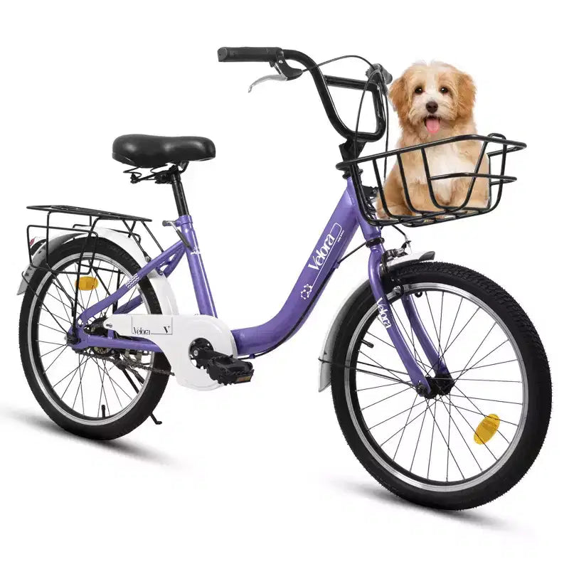 Okak 20IN Kids Bike with Lightweight Steel Frame, Kids Cruiser Bikes with Coaster Brake & V-Brake, Mini Bike with Chain Guard & Rear Rack