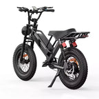 Eilleo 20 Fat Tire E-Bike  750W Motor (920W Peak), 24.9 mph, 5070 Mile Range, 48V 15.6Ah Battery, Dual Suspension, Shimano 7-Speed