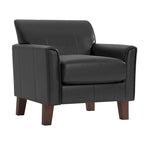 Modern Accent Chair